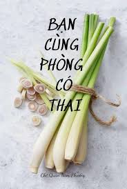 thumbnail-book-ban-cung-phong-co-thai