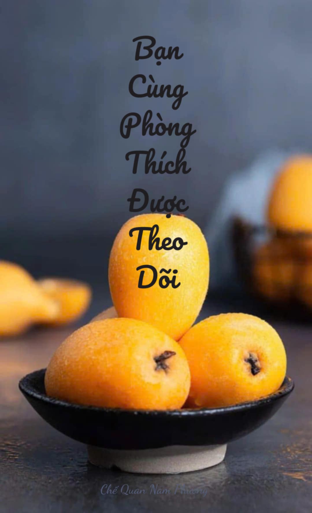 thumbnail-book-ban-cung-phong-thich-bi-theo-doi