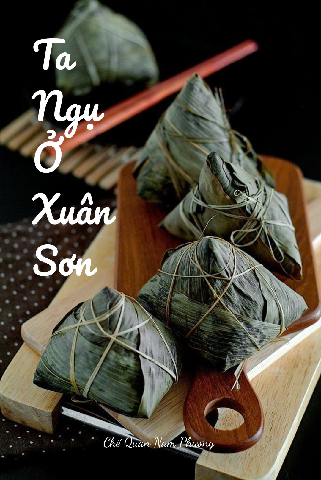 thumbnail-book-ta-ngu-o-xuan-son