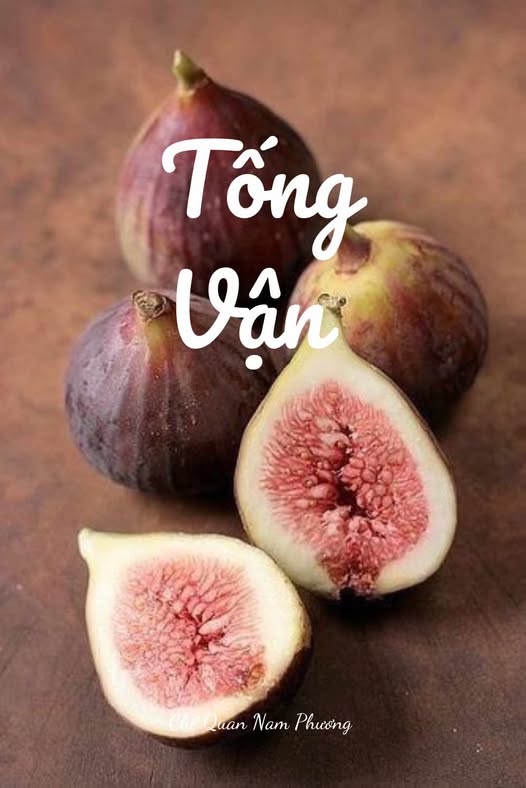 thumbnail-book-tong-van
