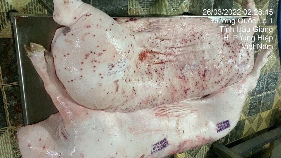 post-image-cp-viet-nam-phan-hoi-ve-thong-tin-ban-thit-heo-ga-benh-ra-thi-truong