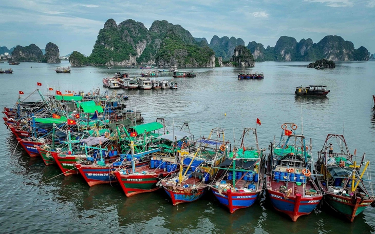 post-image-hoi-thuy-san-viet-nam-phan-doi-manh-me-lenh-cam-danh-bat-ca-phi-ly-cua-trung-quoc-tren-bien-dong